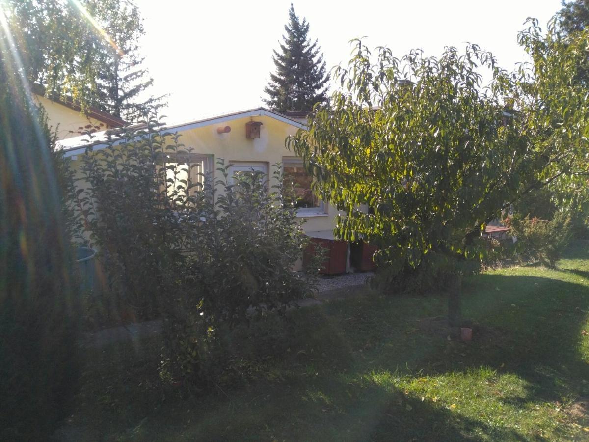 Greenhouse Just 15 Min From The Old Town Bratislava Buitenkant foto
